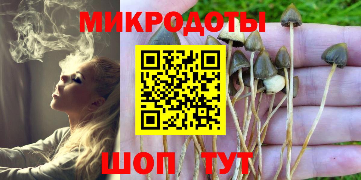 Псилоцибиновые грибы GOLDEN TEACHER  Галлюциногенные грибы мухоморы  Дятьково  Вход с VPN 