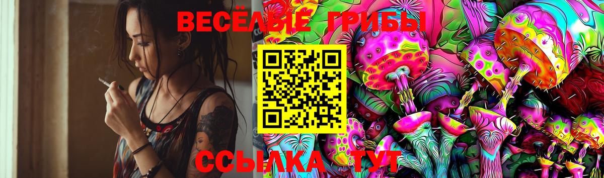 Галлюциногенные грибы мицелий Дятьково