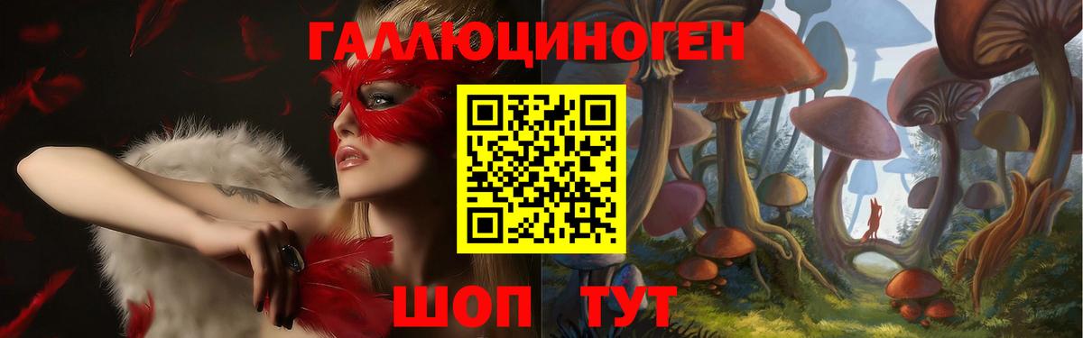 Галлюциногенные грибы Psilocybine cubensis Дятьково